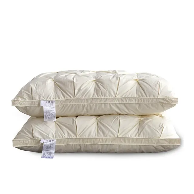 100% Cotton Beige Twist Flower Goose Down And Duck Down Pillow by FNH